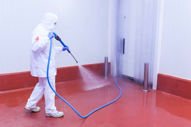 Trusted Belle Meade, TN Pressure Washing Experts